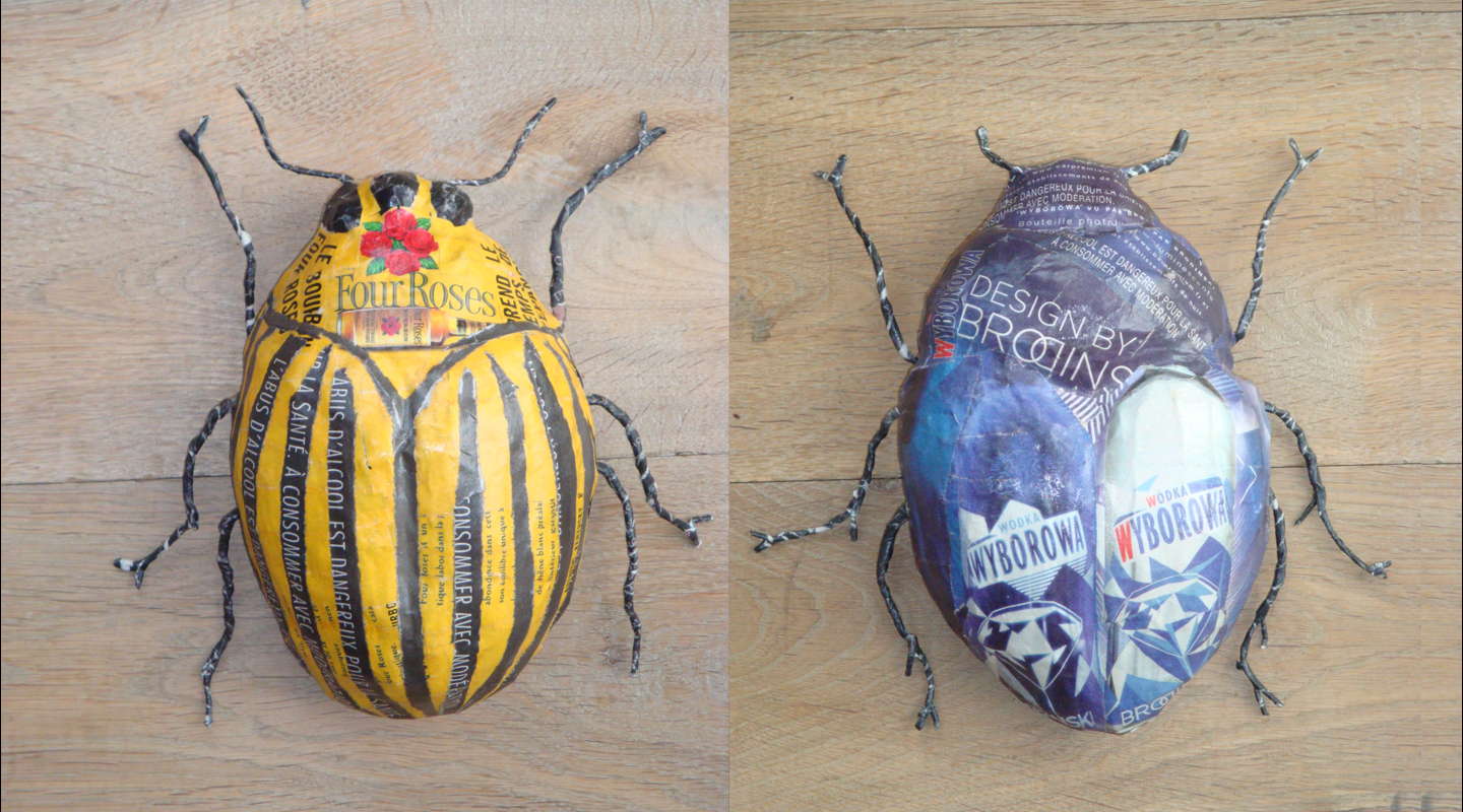 insecte - doryphore et scarabée