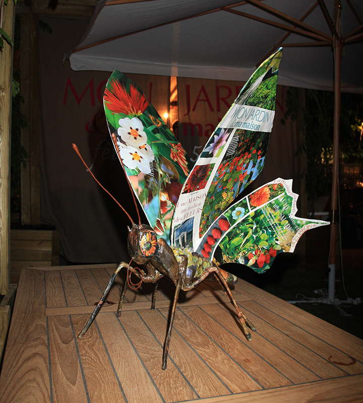 insecte - papillon