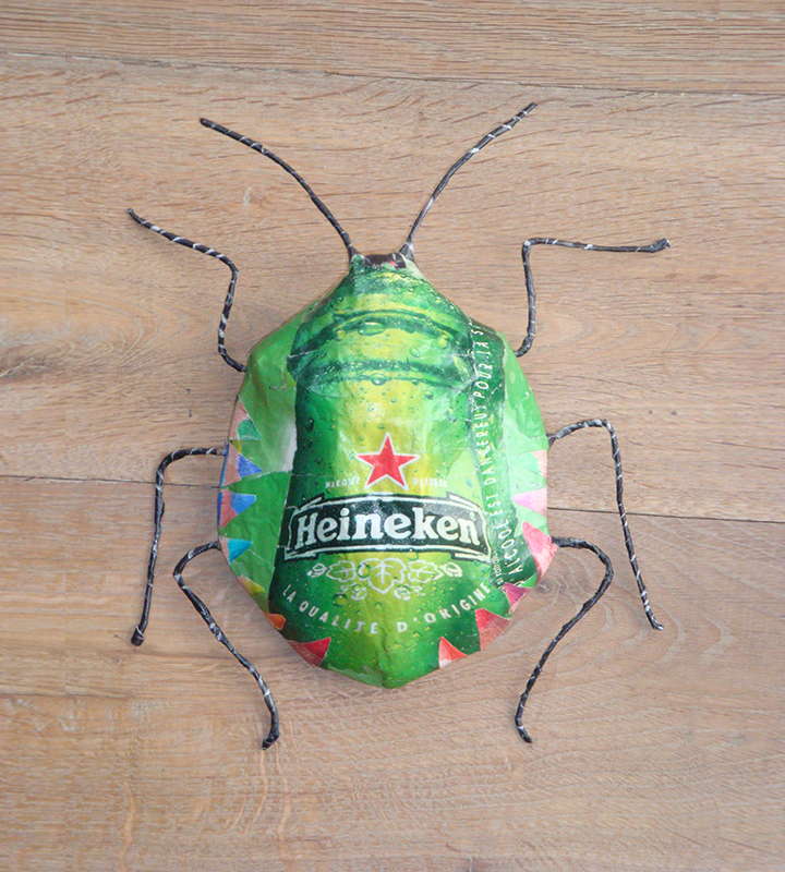 insecte - punaise