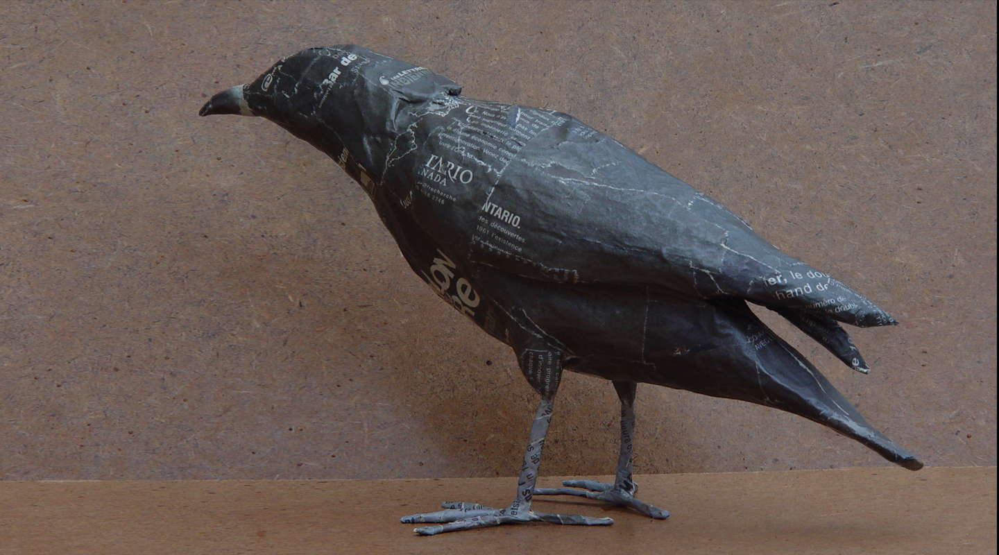oiseau - corbeau