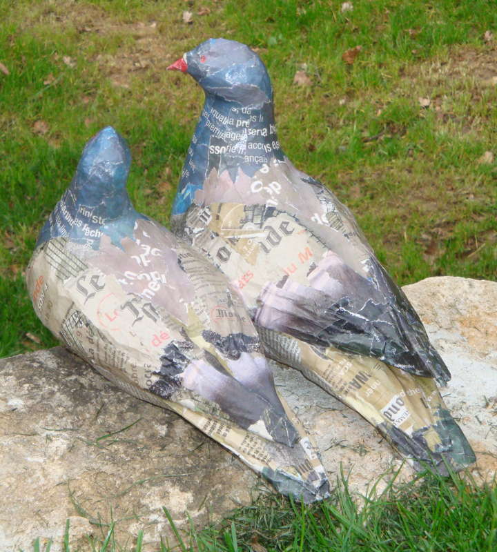 oiseau - pigeons en duo